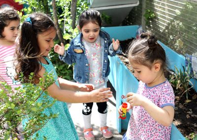 Jardín infantil Cascanueces